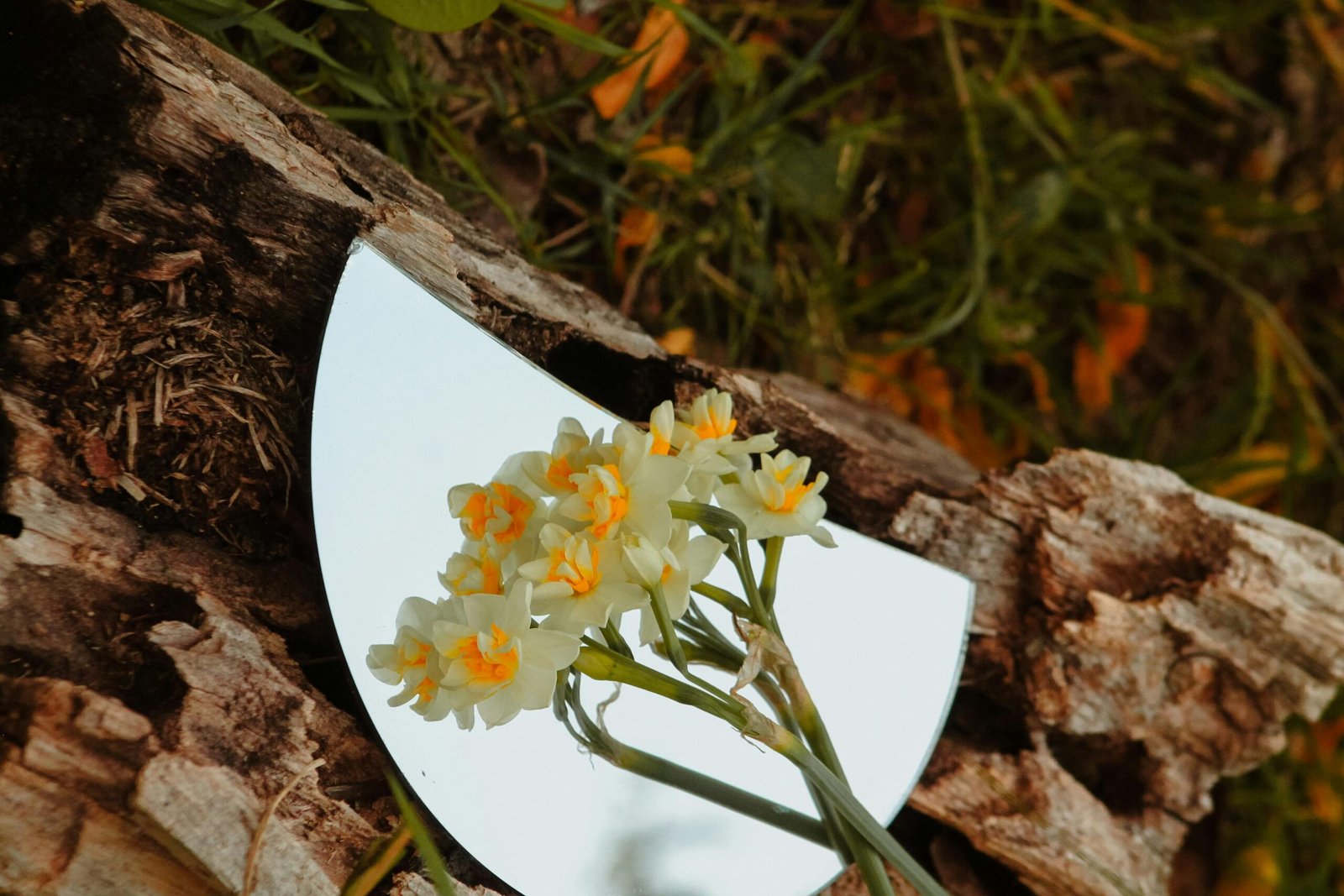 Close up of a broken mirror with flowers symbolizing imperfection and growth