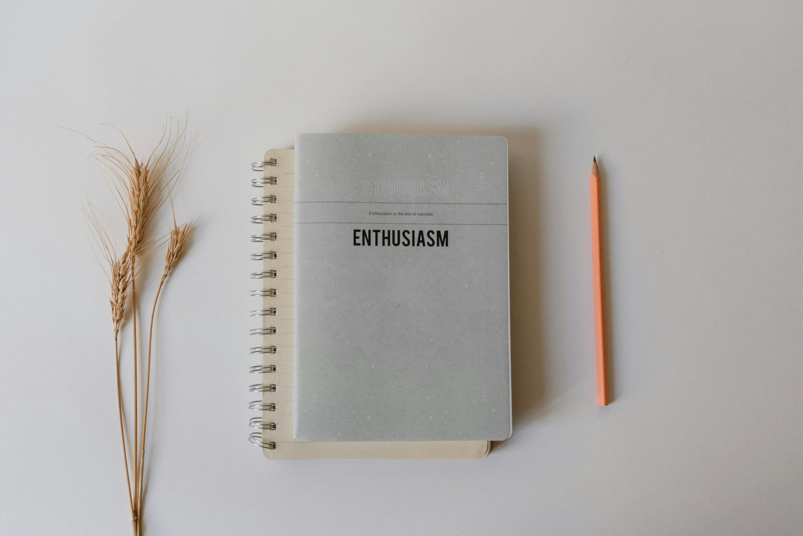 decision fatigue simplified daily choices.