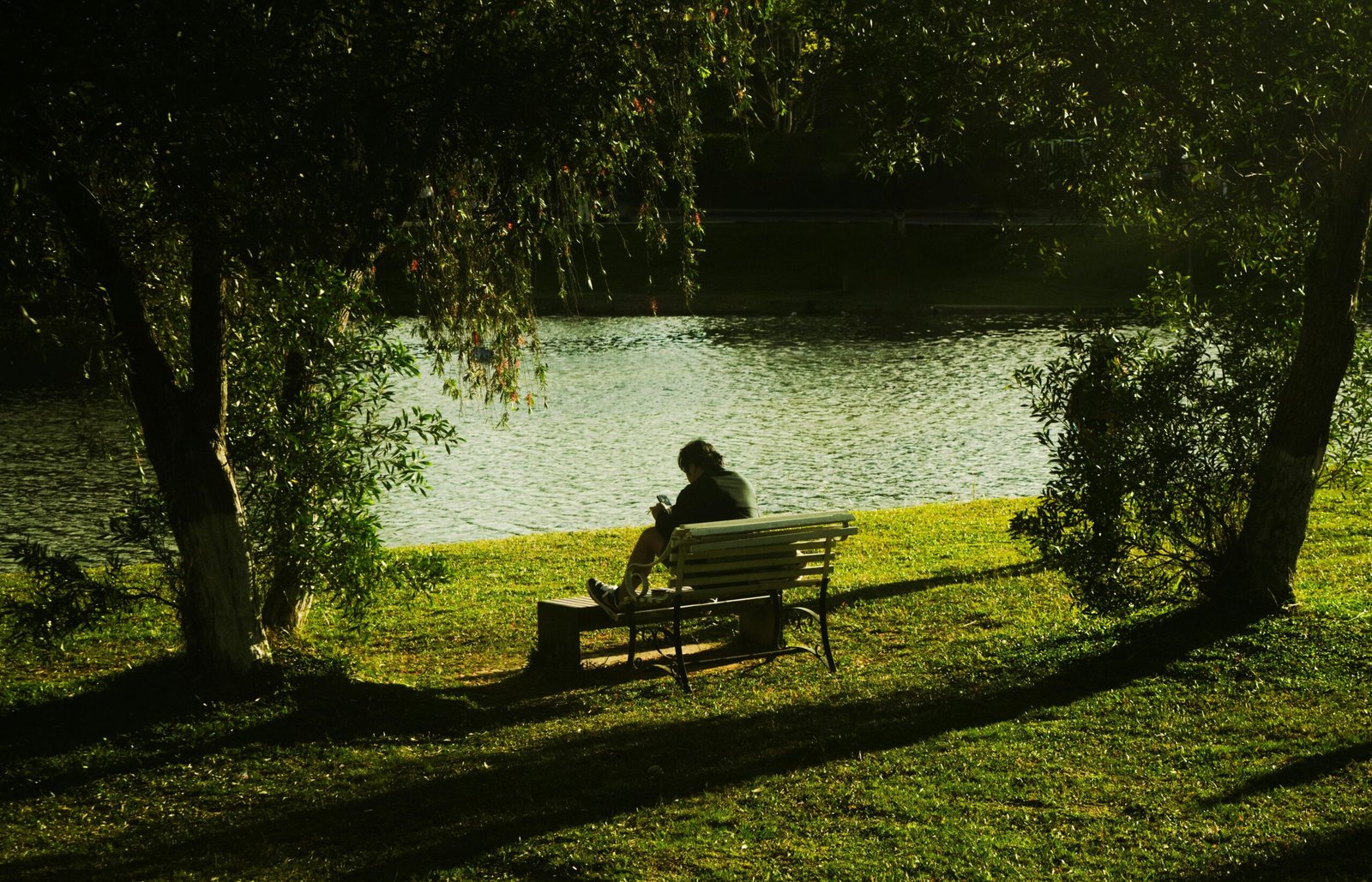 Calm reflection in nature