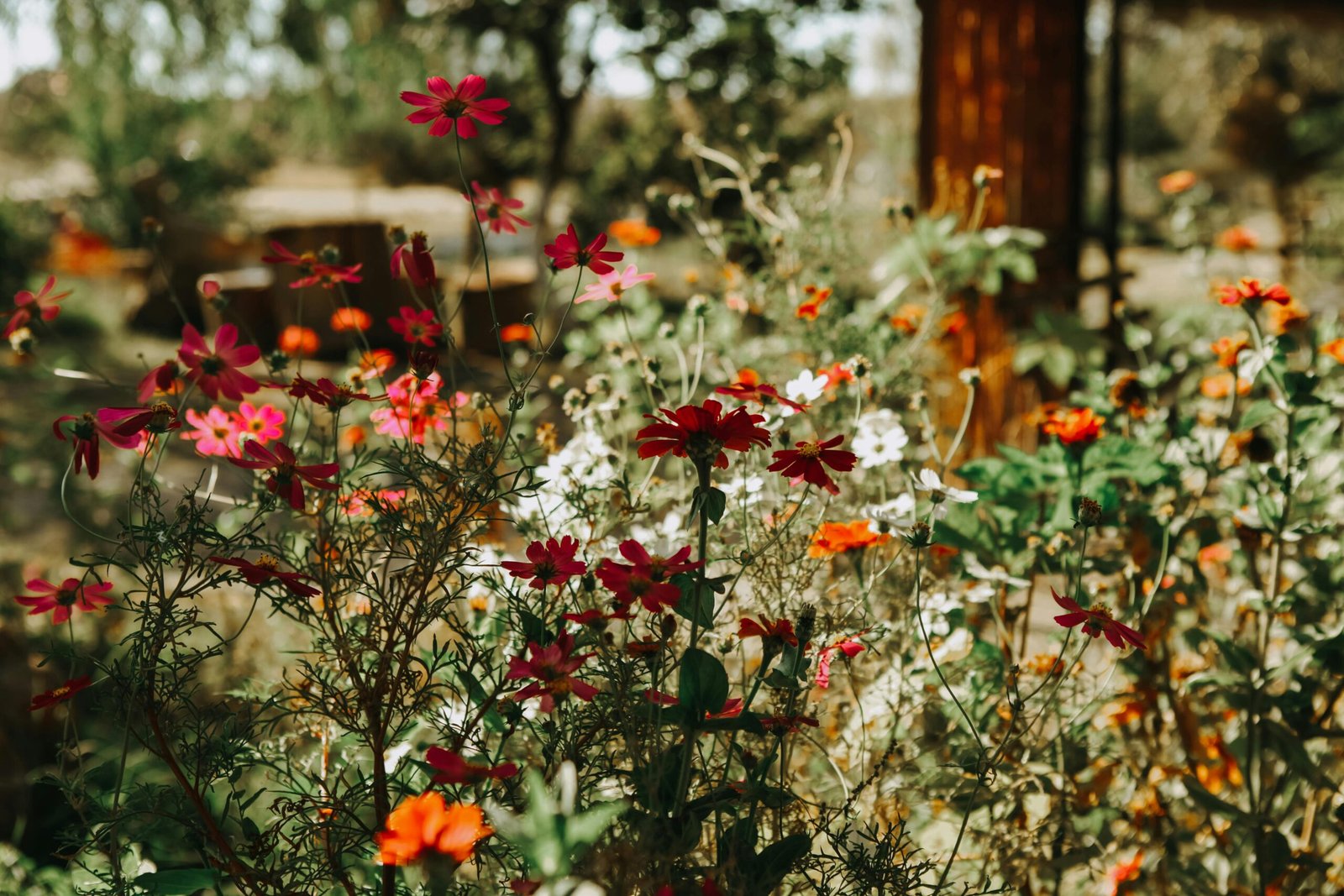 Growth emerging from life challenges 