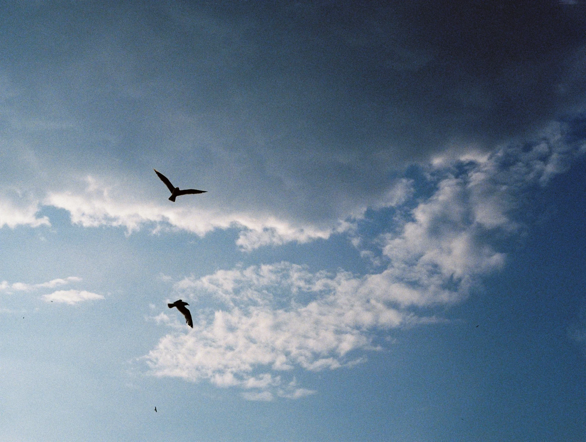 symbolic freedom after accepting life uncertainties