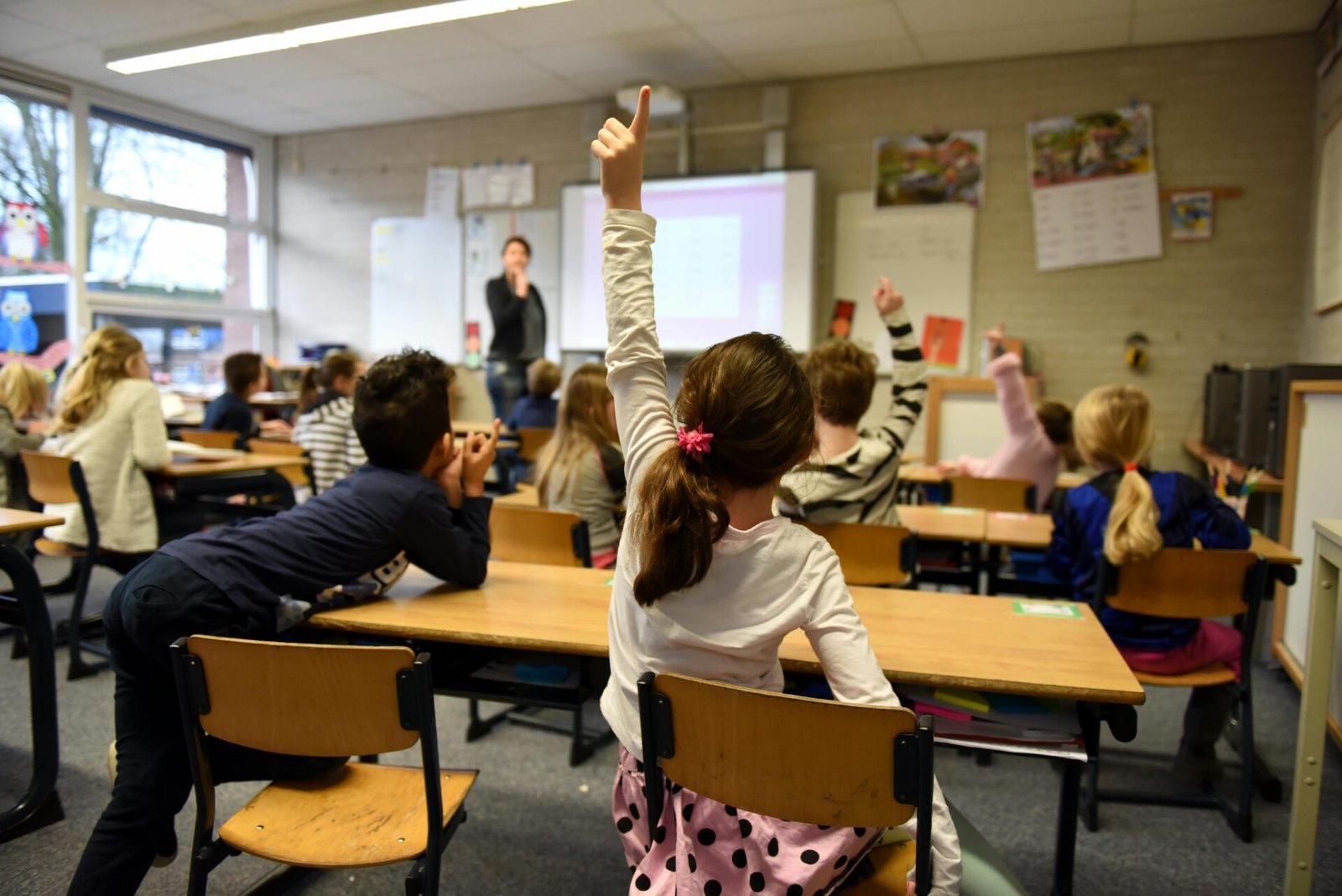 curiosity in children asking questions and learning
