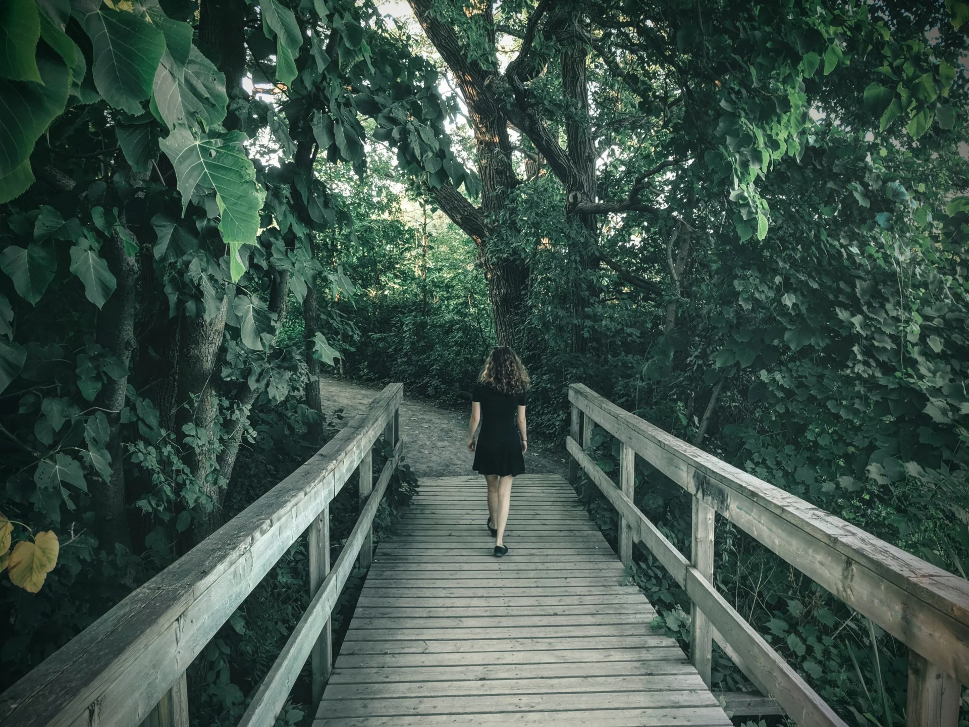 Doing Things at Your Own Pace and Sustainable Personal Growth Journey